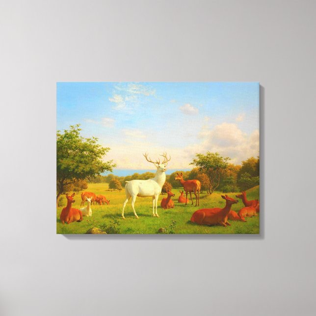 Weiße Wildtiere Leinwanddruck (Vorderseite)