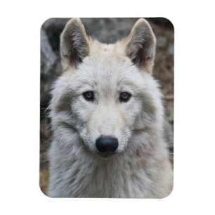 WEISSE WOLF FLEXIBLE MAGNET
