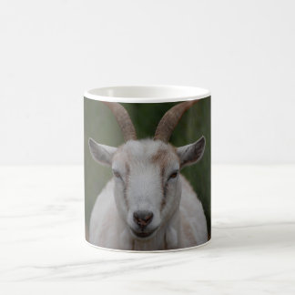 Weiße Ziegen-Tasse Kaffeetasse