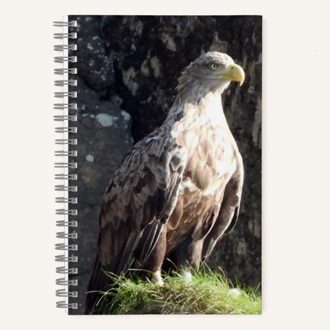 Weißer Adler Notizbuch (Vorderseite)