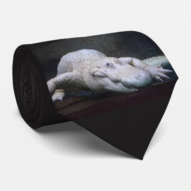 Weißer Alligator Louisianas neu Krawatte (Gerollt)