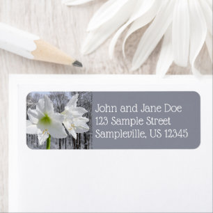 Weißer Amaryllis und Schnee I