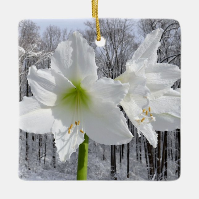 Weißer Amaryllis und Schnee I Keramikornament (Vorderseite)