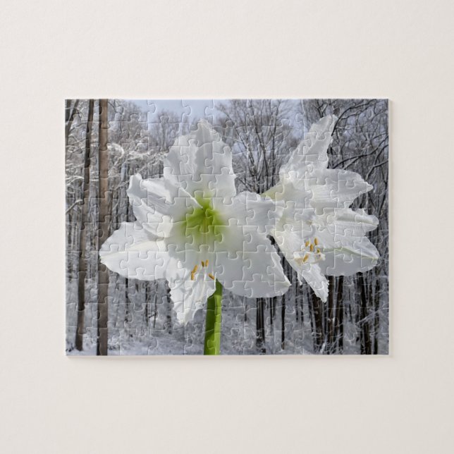 Weißer Amaryllis und Schnee I Puzzle (Horizontal)