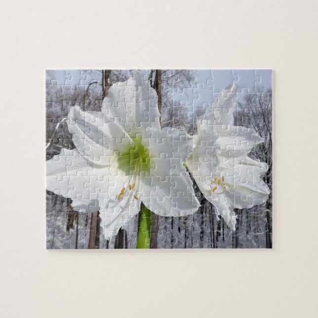 Weißer Amaryllis und Schnee II Puzzle (Horizontal)