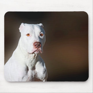 Weißer Amerikaner Pitbull Terrier Rettungs-Hund Mousepad