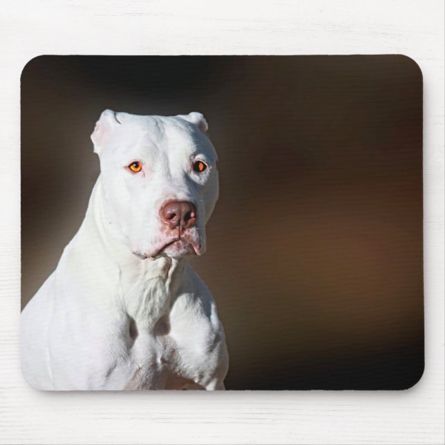 Weißer Amerikaner Pitbull Terrier Rettungs-Hund Mousepad (Vorne)