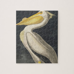 Weißer amerikanischer Pelikan aus Birds of America Puzzle
