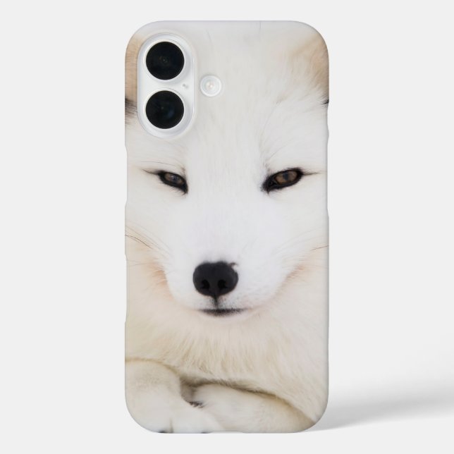Weißer Arktische Fuchs Case-Mate iPhone Hülle (Rückseite)