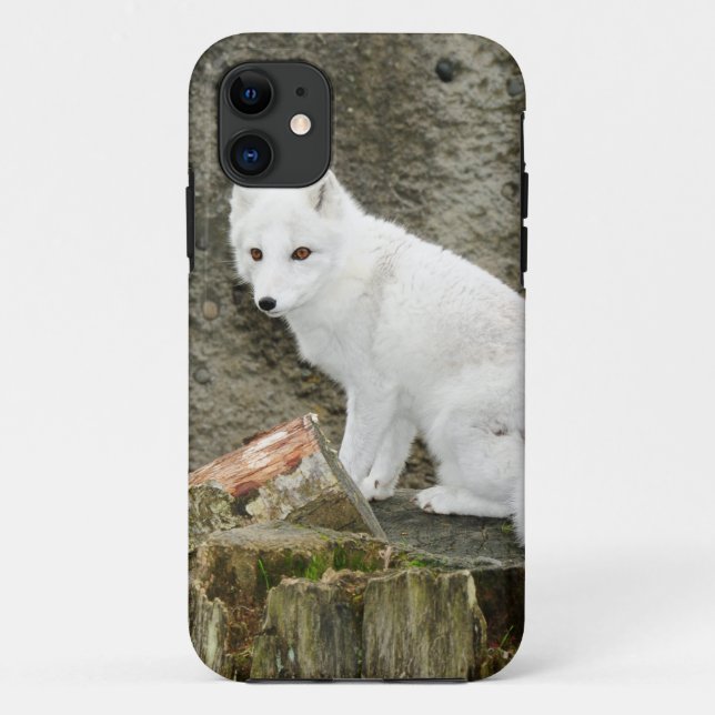 Weißer Arktische Fuchs Case-Mate iPhone Hülle (Rückseite)