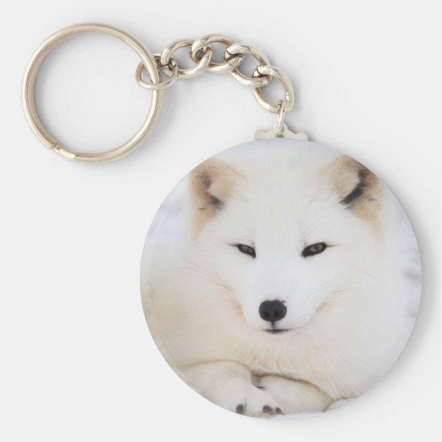 Weißer arktischer Fuchs im Schnee Schlüsselanhänger (Vorne)