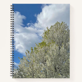 Weißer Baum Blaues Himmel Wolken Foto Notizbuch
