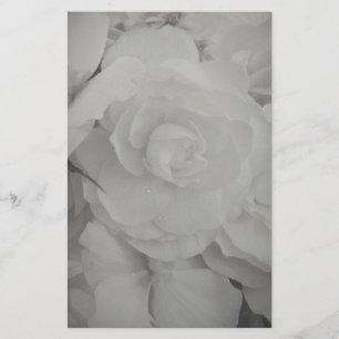 Weißer Begonia Briefpapier