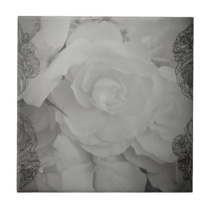 Weißer Begonia Fliese