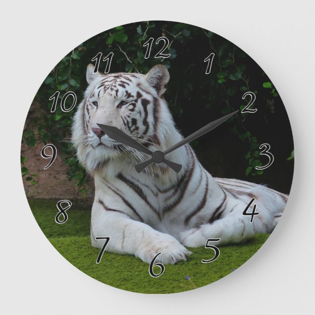 Weißer bengalischer Tiger Große Wanduhr (Vorderseite)