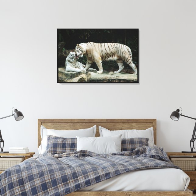 Weißer Bengalischer Tiger ummantelt Leinwanddruck (Insitu (Schlafzimmer))