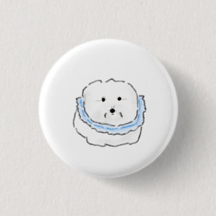 Weißer Bichon Frise mit blauem Rüschenkragen Button