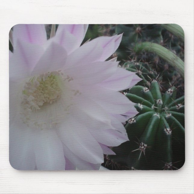 Weißer Blumen-Kaktus Mousepad (Vorne)