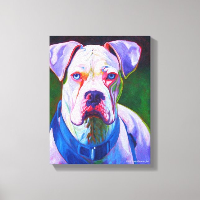 Weißer Boxer auf gepackten Canvas Leinwanddruck (Vorderseite)