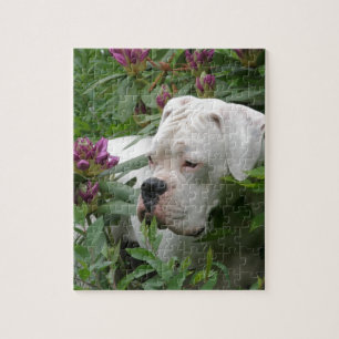 Weißer Boxer in rosa Rhodies Puzzle