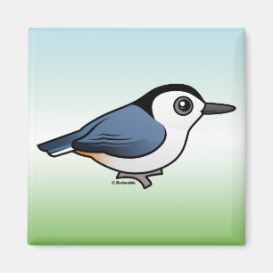 Weißer-breasted Kleiber Magnet