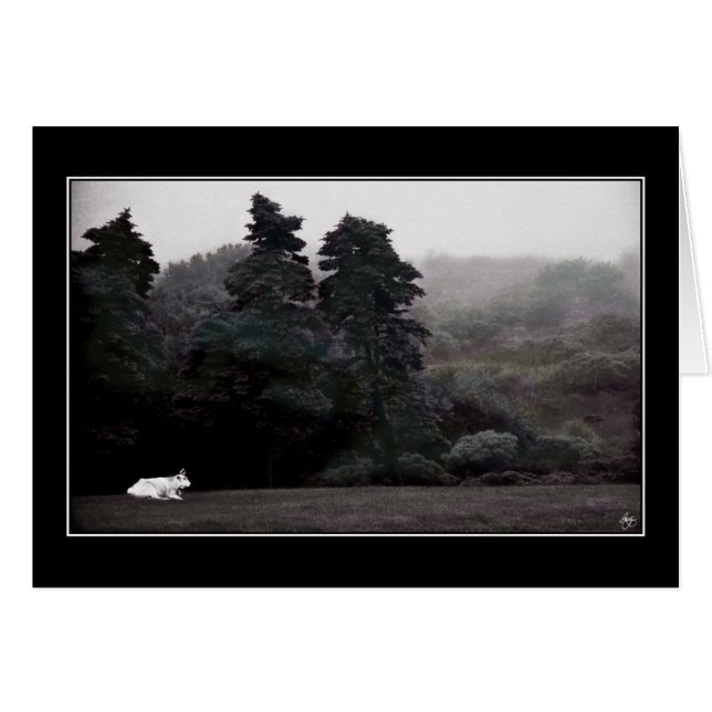 Weißer Bull gegen eine gemalte Waldkarte (Vorderseite (Horizontal))