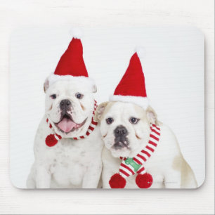 Weißer Bulldog Mousepad