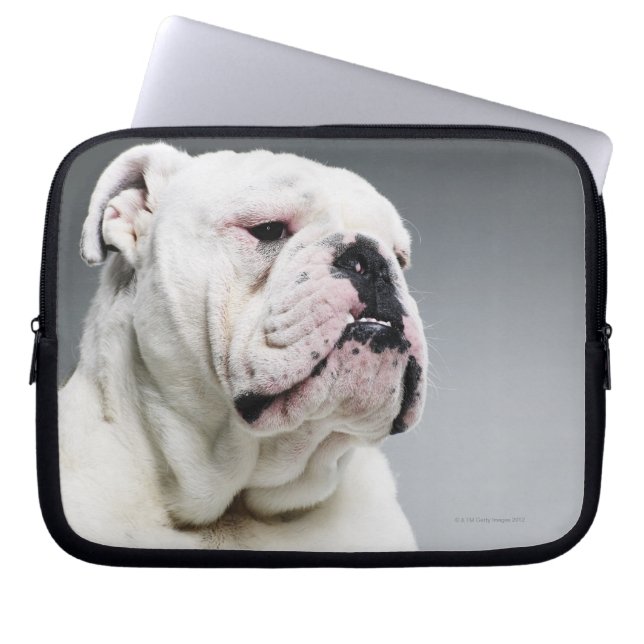 Weißer Bullenhund Laptopschutzhülle (Vorderseite)