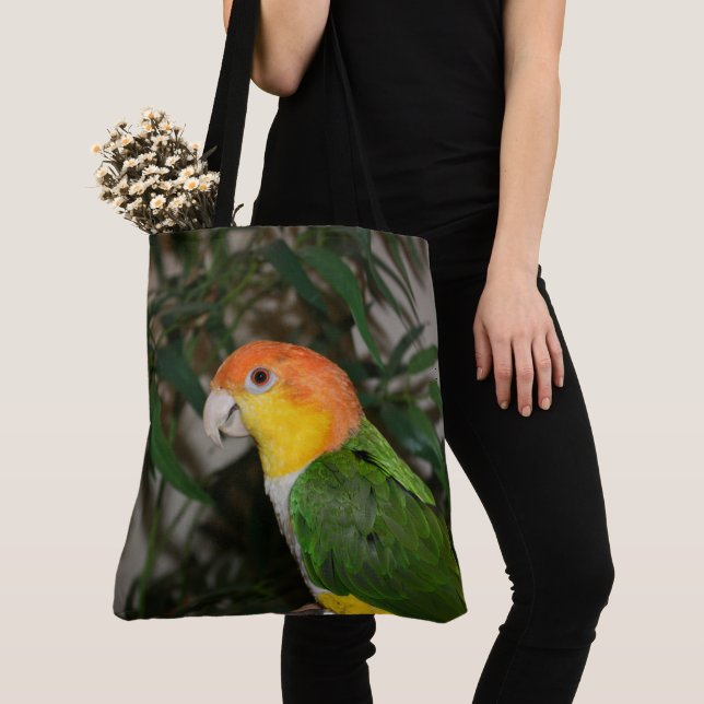 Weißer Bündner Kaiken-Papagei mit Bambusbaum (Von Nahem)