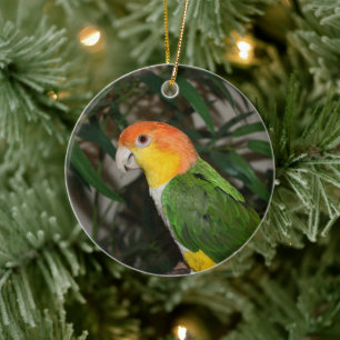 Weißer Bündner Kaiken-Papagei mit Bambusbaum Keramik Ornament