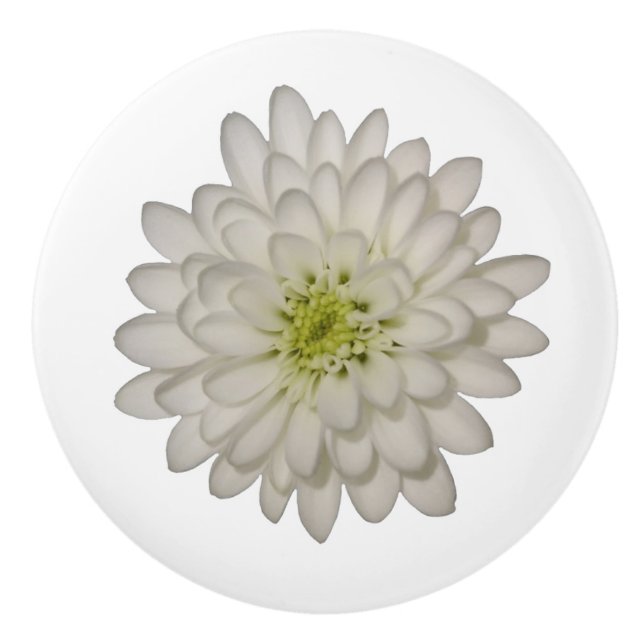 Weißer Chrysanthemum-Keramik-Knochen Keramikknauf (Vorderseite)