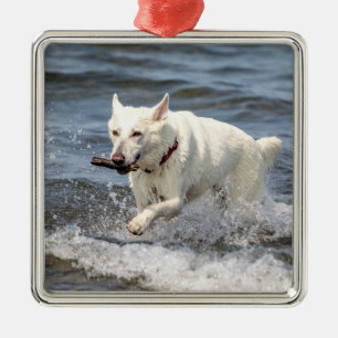 Weißer Deutscher Schäferhund am Lake George Silbernes Ornament