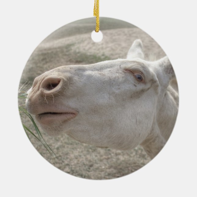 Weißer Donkey (Österreich-Ungarn) Keramikornament (Hinten)