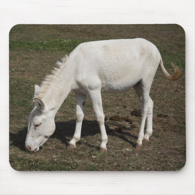 Weißer Donkey (Österreich-Ungarn) Mousepad (Vorne)