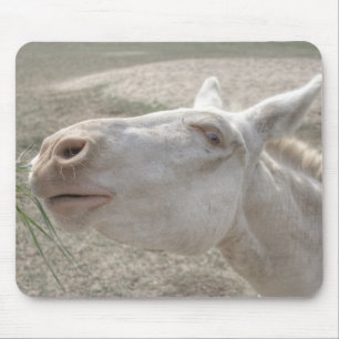 Weißer Donkey (Österreich-Ungarn) Mousepad