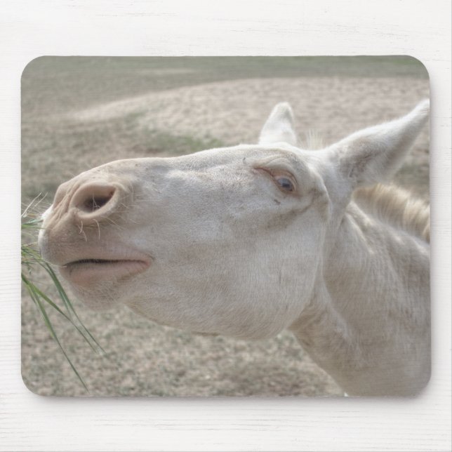 Weißer Donkey (Österreich-Ungarn) Mousepad (Vorne)