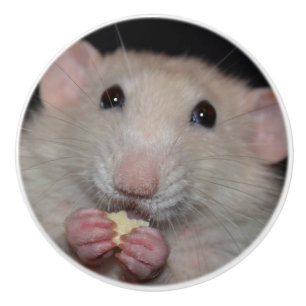 Weißer Dumbo Ratten-Aufbereiter-Griff Keramikknauf