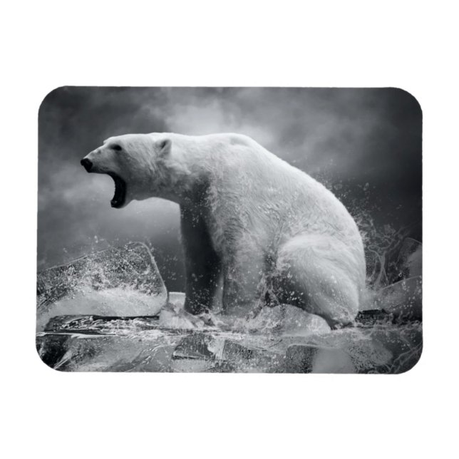 Weißer Eisbär auf Eis im Wasser Magnet (Horizontal)