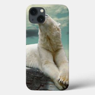 Weißer Eisbär-Jäger auf Felsen Case-Mate iPhone Hülle