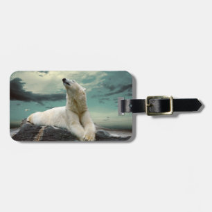Weißer Eisbär-Jäger auf Felsen Gepäckanhänger