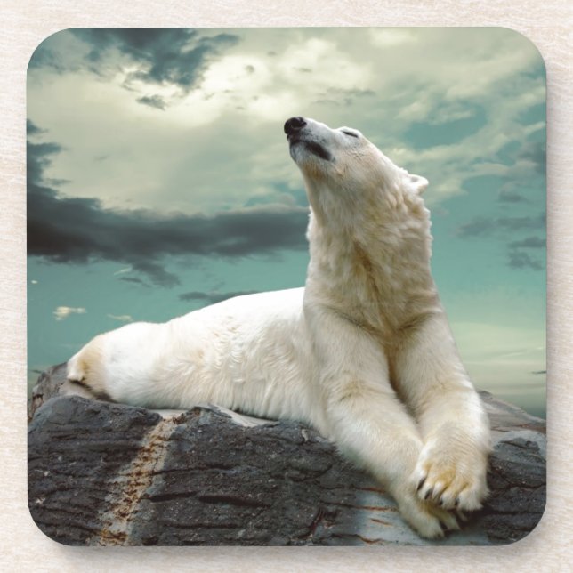 Weißer Eisbär-Jäger auf Felsen Getränkeuntersetzer (Vorderseite)