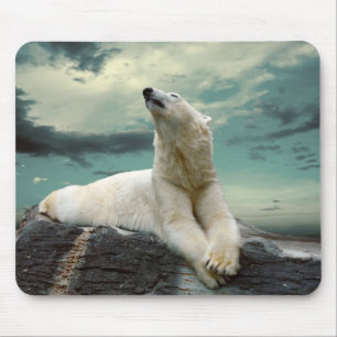 Weißer Eisbär-Jäger auf Felsen Mousepad