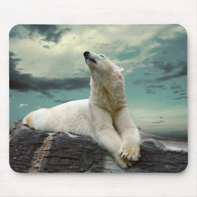 Weißer Eisbär-Jäger auf Felsen Mousepad (Vorne)