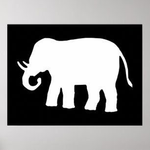 Weißer Elefant Poster