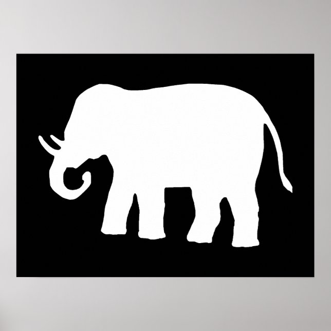 Weißer Elefant Poster (Vorne)
