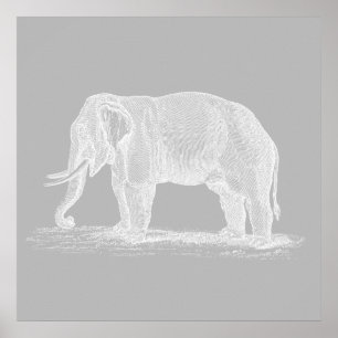 Weißer Elefant Vintage-Illustration aus dem 19. Ja Poster