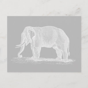 Weißer-Elefant-Vintage-Illustration aus dem 19. Ja Postkarte