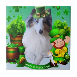 Weißer Faktor Merle Kopf Rough Collie Fliese