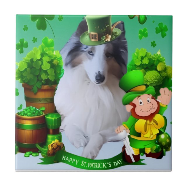 Weißer Faktor Merle Kopf Rough Collie  Fliese (Vorderseite)