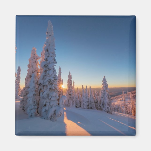 Weißer Fisch, Montana Magnet (Vorne)